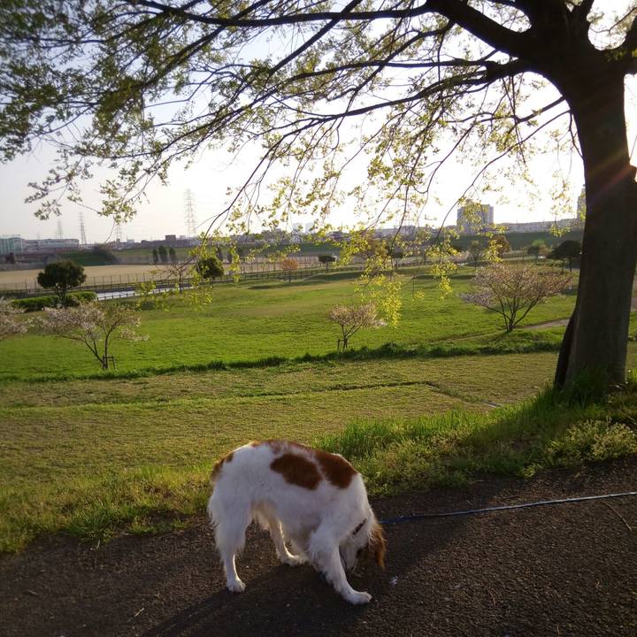 46fcddf8 b2ba 4fa5 bb54 a040b973c7a4 1522756086622