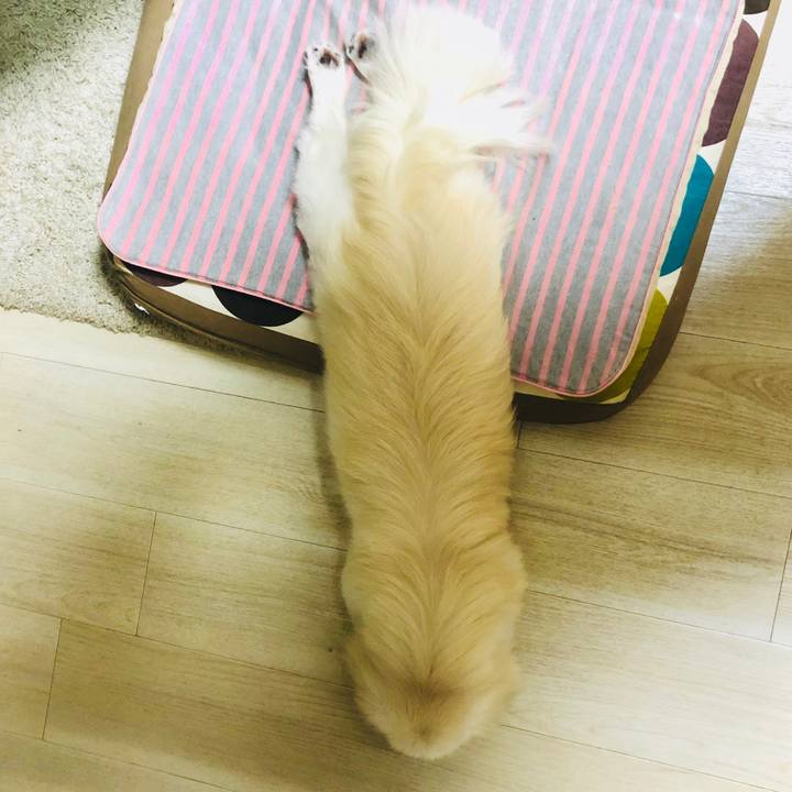 46fd18ff 59c0 441b 888c 28720206fcb4 1600267398403