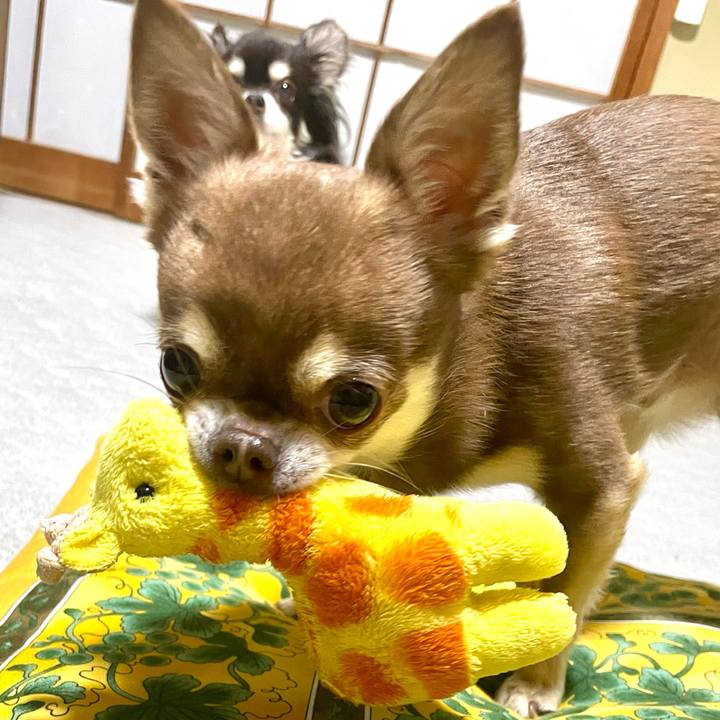 46fd3877 53a6 446b 87b2 af6b4a38b416 1711710687917