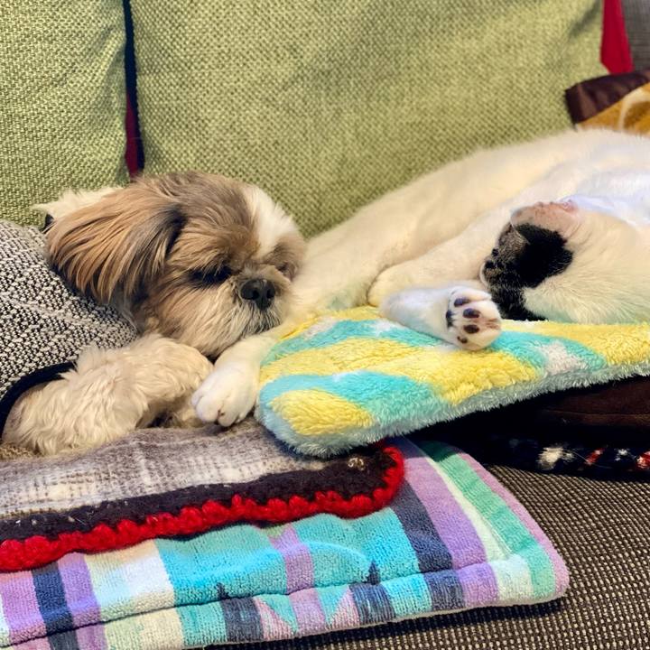 46fd445a a5bb 4159 8a21 3075252e4461 1667458759962