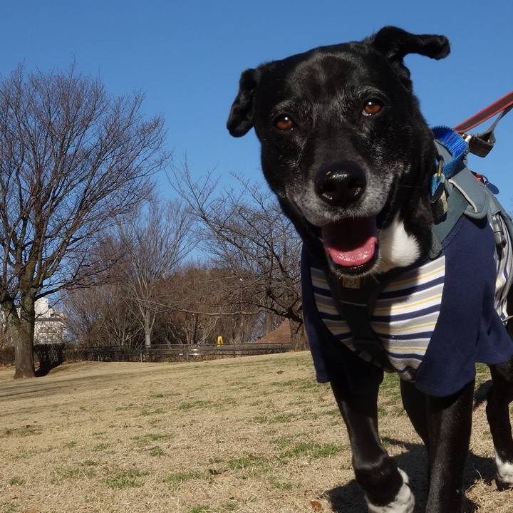 46fd45f9 9c65 4a61 a7d1 767e56dfe9d3 1741307562249