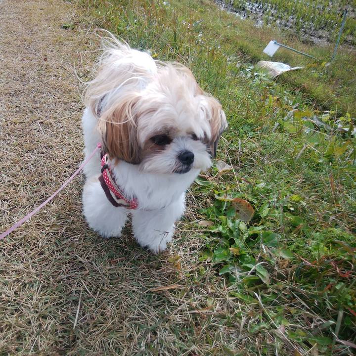 46fd55d2 68af 4ca0 a5ec dba2e6c4519e 1510800235500