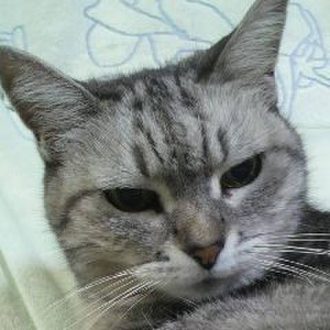 46fdb3ac 251c 4c33 a1b5 c94058995e87 1508562274712