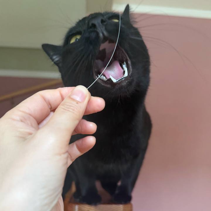 46fde6d2 cfdf 4906 9e26 5019bc9c9791 1773037375468