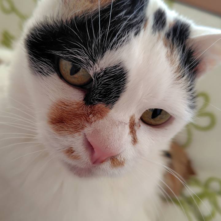 46fe18c1 e5da 4c95 b63c 8fc5859ff43c 1774335057989