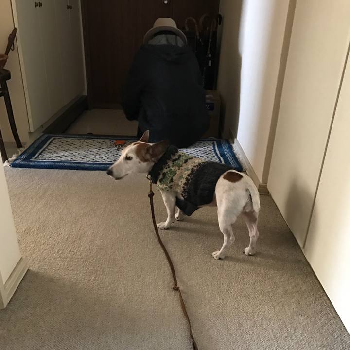 46fe1b49 6074 4887 82bf 773b90bb7ee4 1774098507222