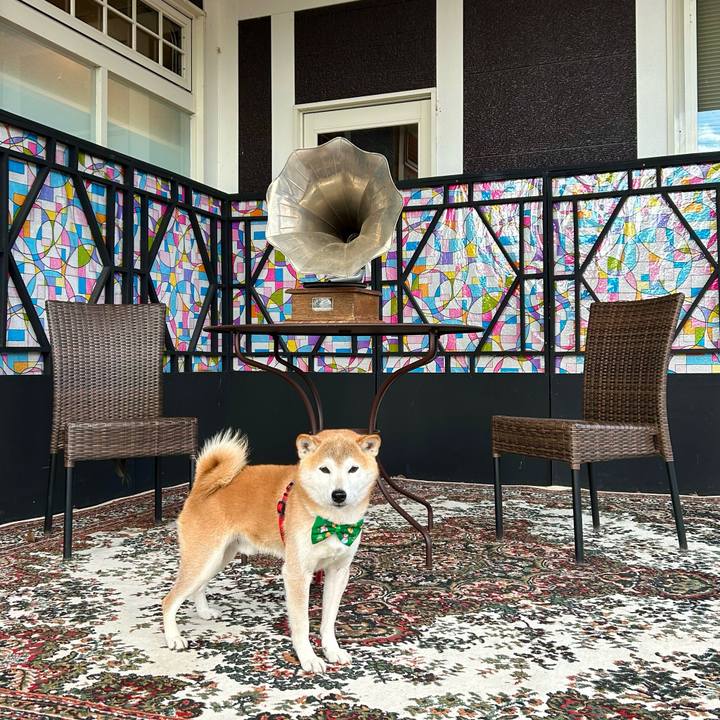 46fe6969 06a8 4caa b8c5 373f17e7c5ee 1703415764841