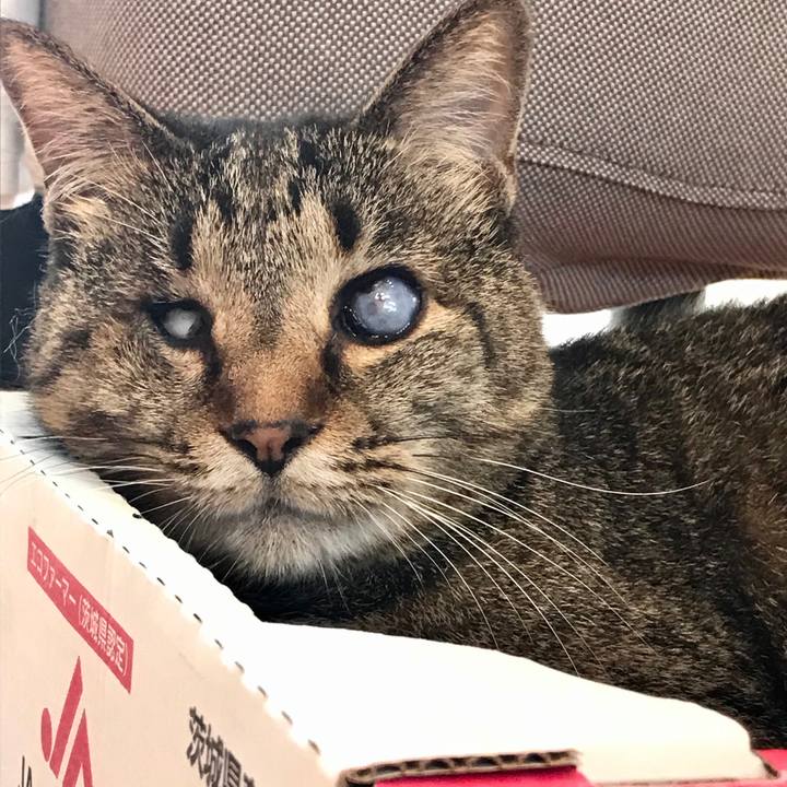 46fe7a10 9a2f 46bd a36f 00fa5f1e0875 1591410023340