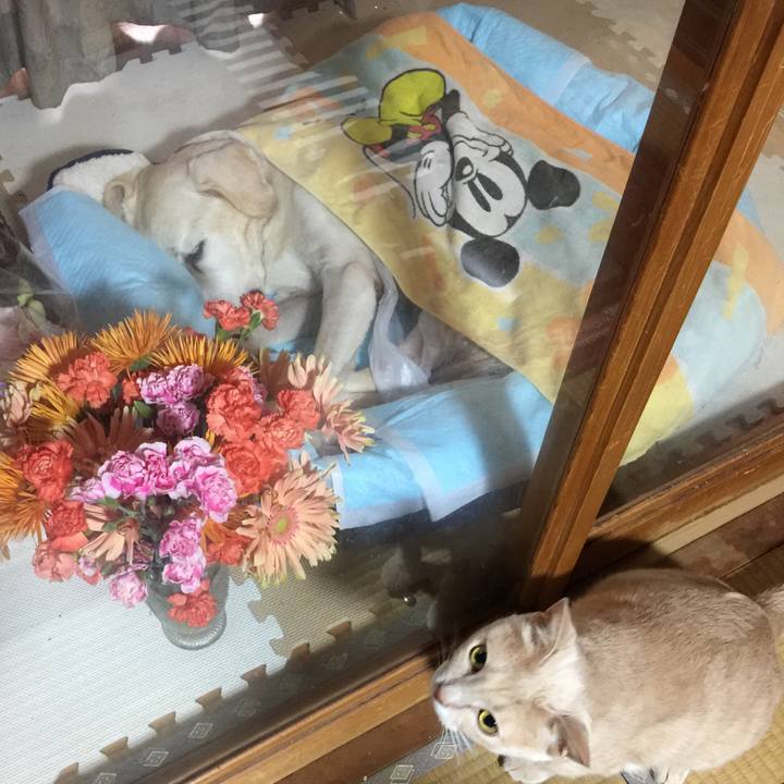 46fe8ff9 d16c 4370 9203 d96ce8423e37 1545995981349