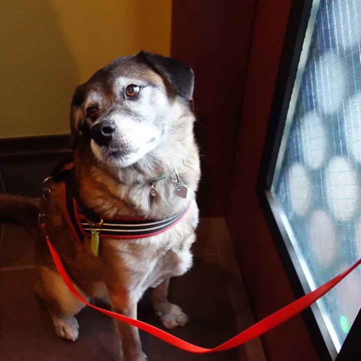 46feb0e9 55e9 4414 a28f fa334eb53ee8 1656632518625