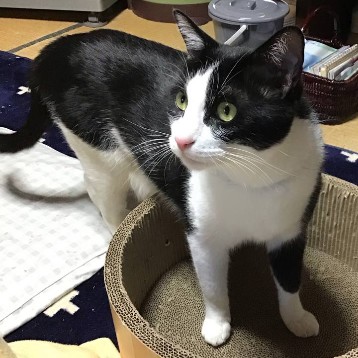 46febd06 2710 4bef aea7 80029239db48 1717752263551