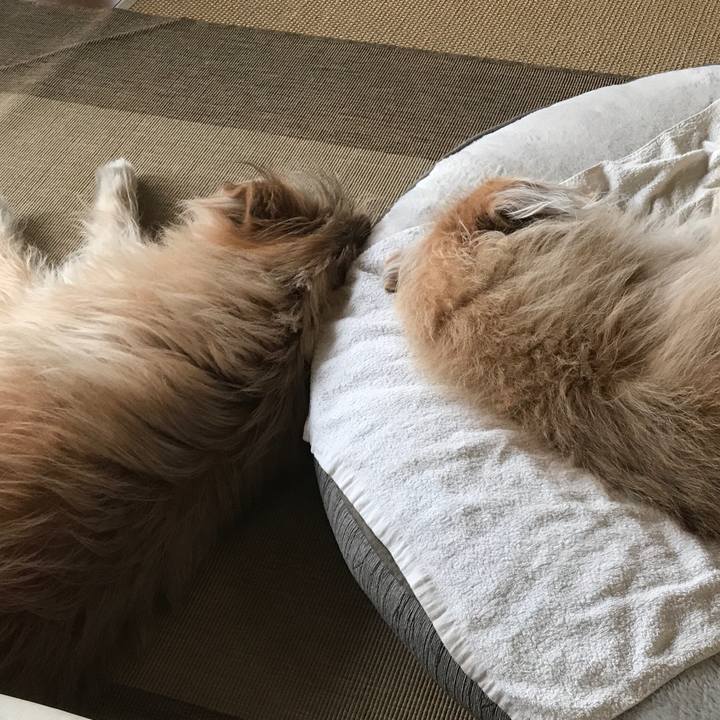 46fec76a 05f2 492b 9cde 2bad62de0a6c 1582898386509