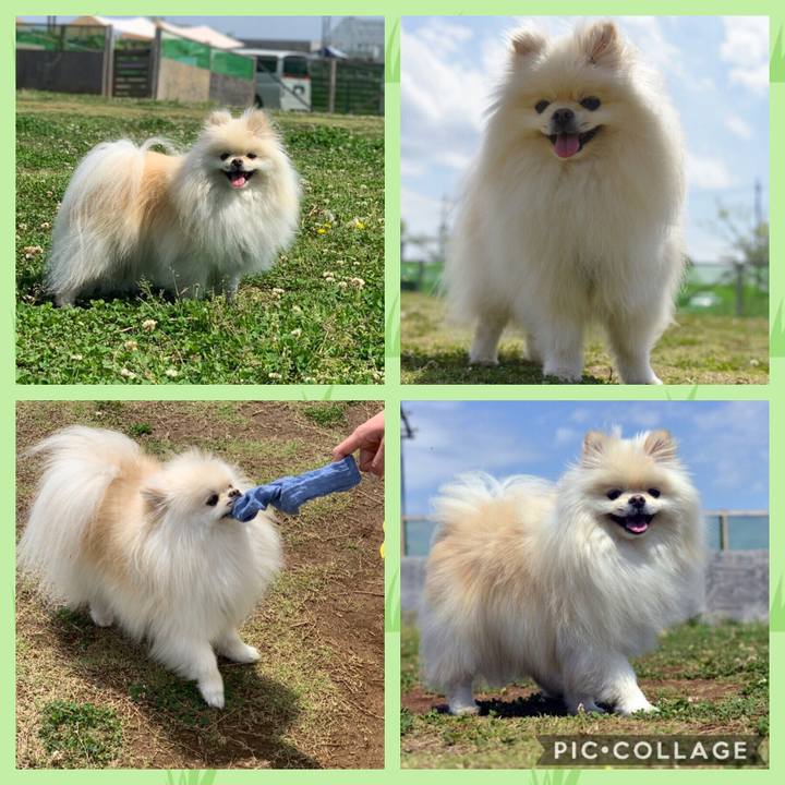 46fedf42 a693 430e 80ab 685e41b6fe7f 1556827578865