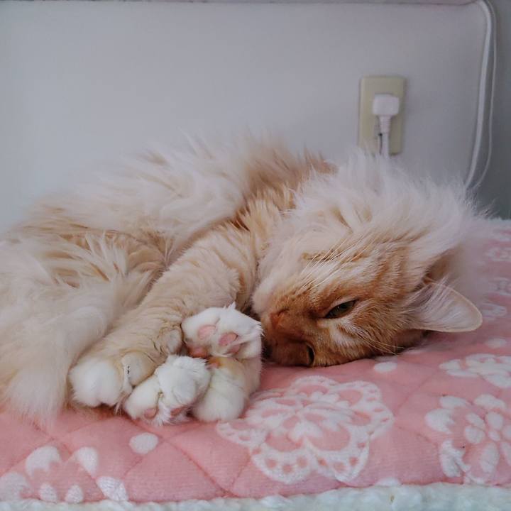 46fef035 894c 4228 961c 5594b400b240 1712017803628