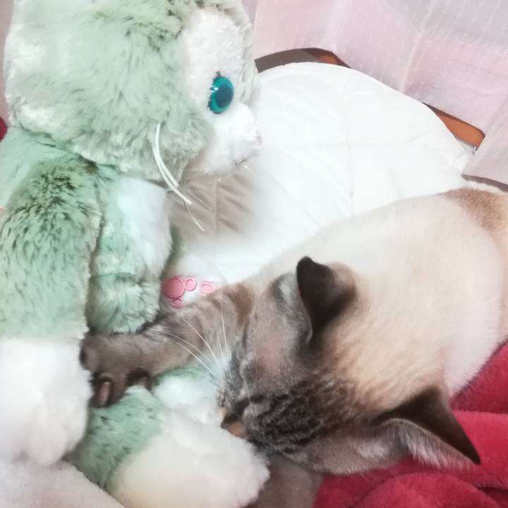 46ff668a 26ef 45a8 ac15 c3079dcf5d5b 1538054892932