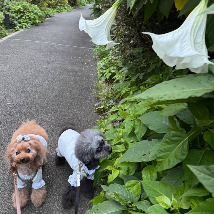 46ff8417 4d54 4256 95c3 5e1056daf6ee 1759791403064