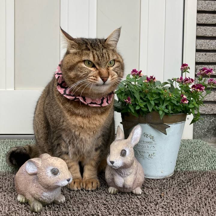 46fff110 8e6f 41d2 9765 e2e96fb3736c 1706663903108