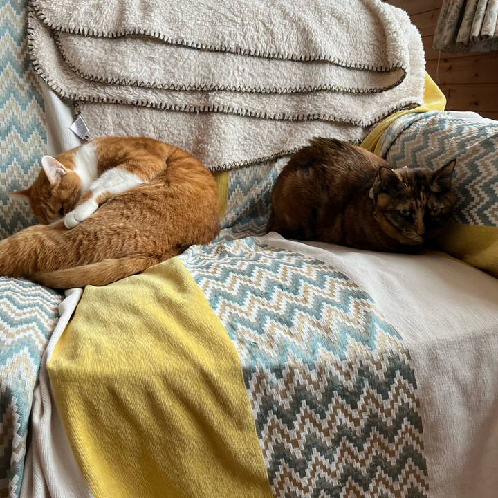 46fffaf5 a5dc 4569 b028 0537b6d698a8 1702782080268