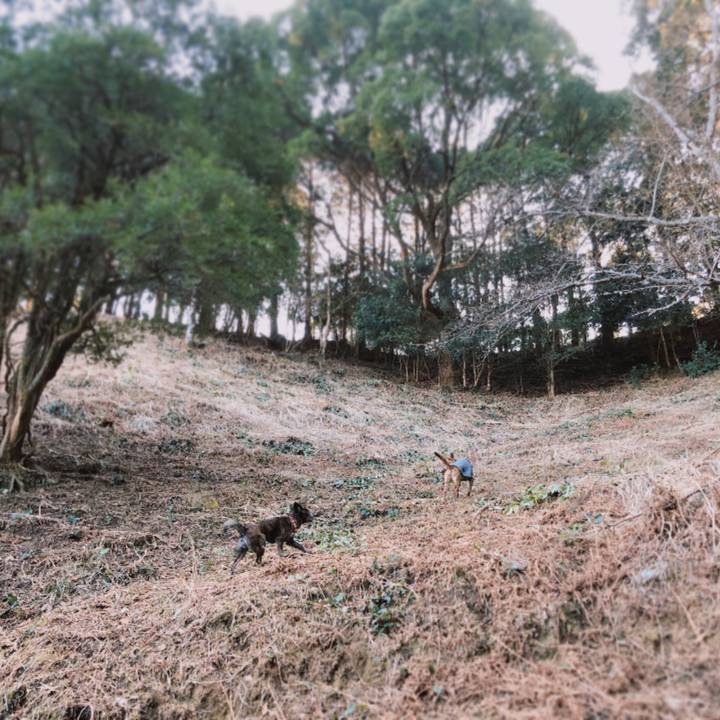 46fffe0f 0d79 4063 b205 50f19be451f8 1580905364084