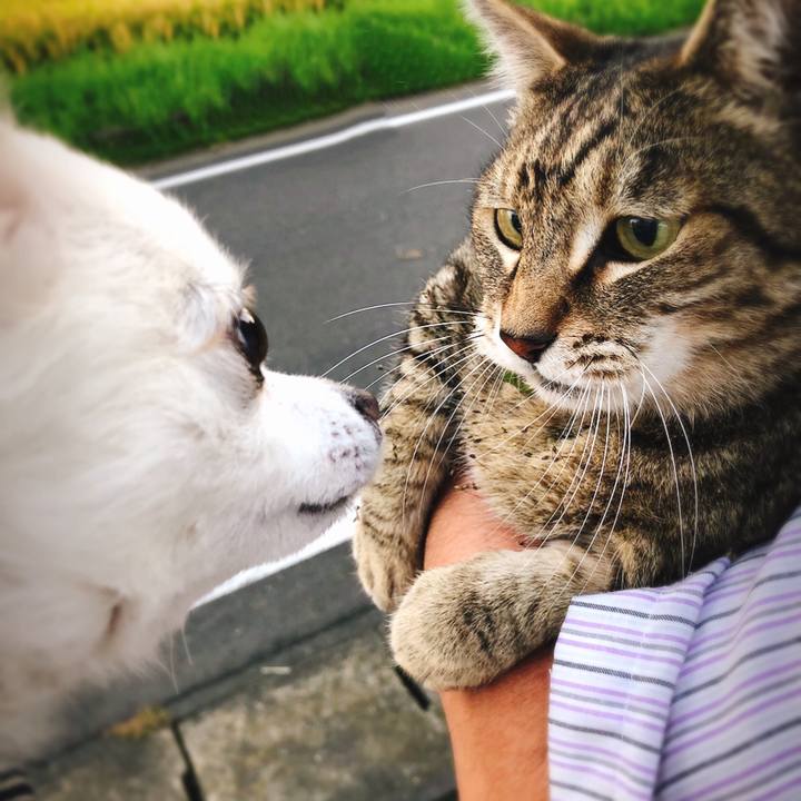 4700005b 1d0c 4e52 b844 e49fd7ff2a7b 1604975503952