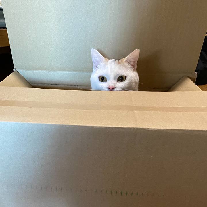 47001b1f 3d9f 466c a3eb 2f3f17d2f913 1618179983815