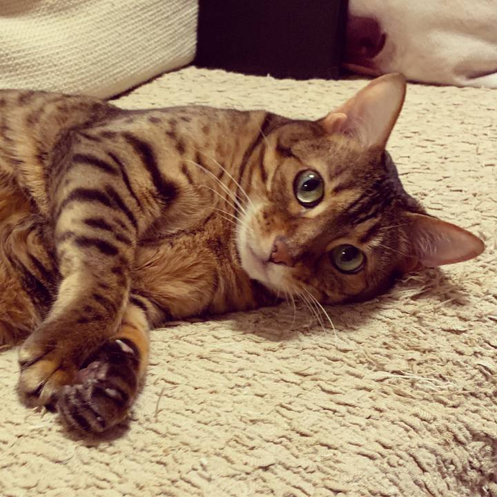 47003a5c e085 4bf1 8f26 975a0c26eb5f 1588545746359