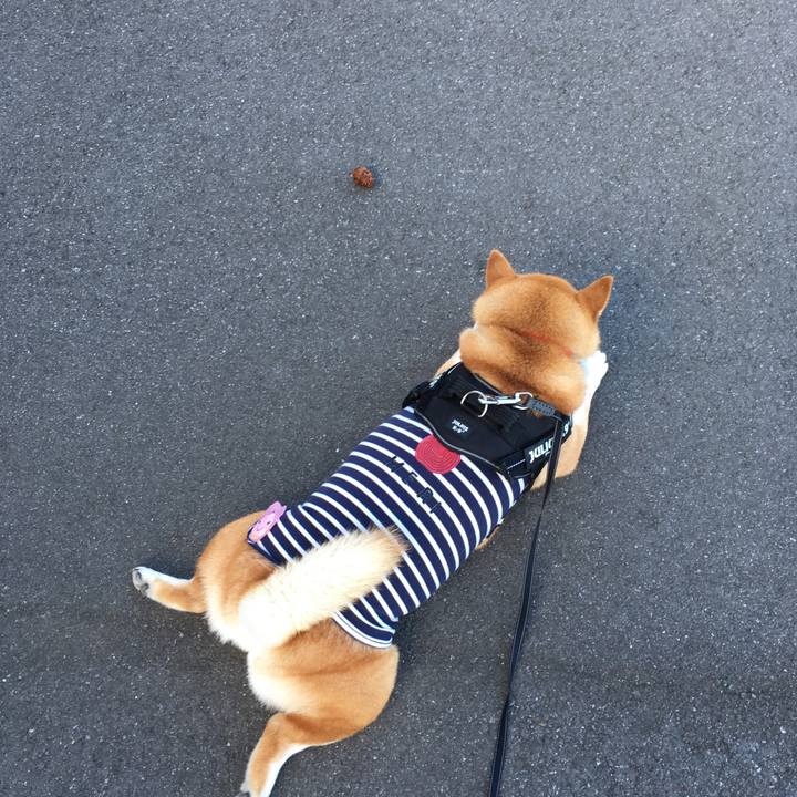 47004090 9a24 4f4d a51f 193b140be3c1 1532985475308