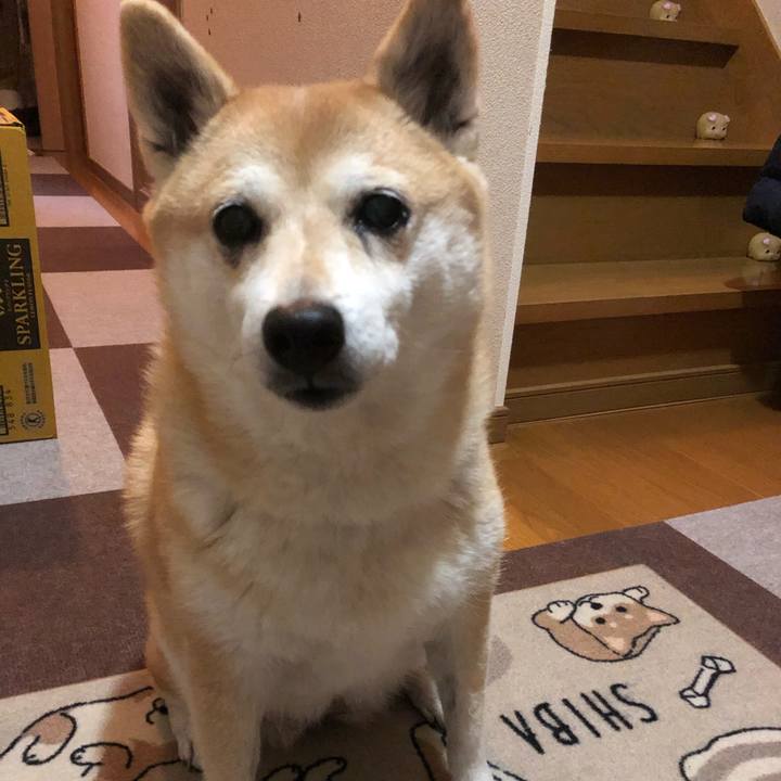 47007d7f 1932 4941 ba3c 5897416de1ef 1607774670710