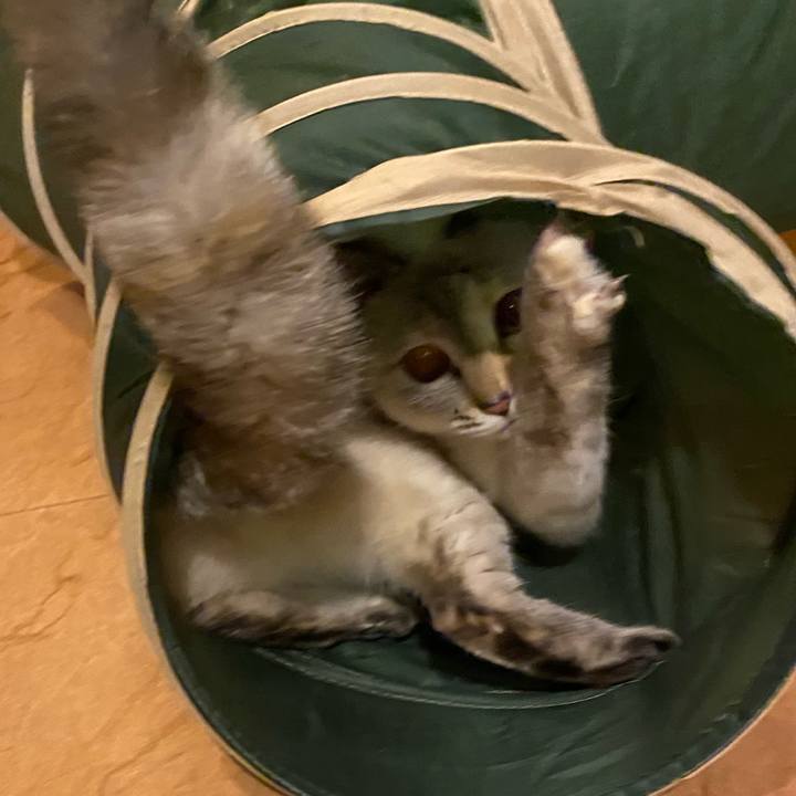 4700ff57 b5a1 4a45 a311 338c42d7d92d 1699863120978