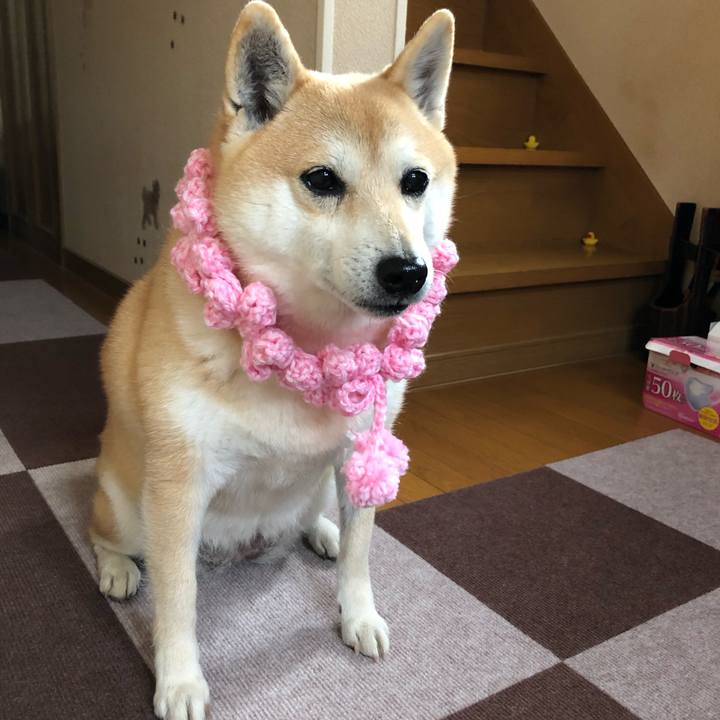 4701002b 413f 4848 b195 af4365107148 1548584839025