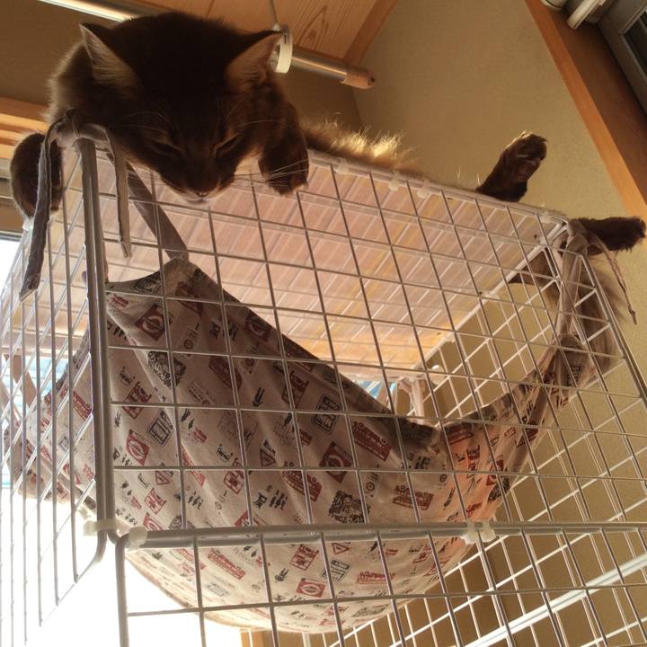 47013517 1fca 4fdf 9e1b 9c1ac4416898 1611646837426