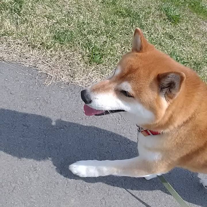 4701444e 68c3 40e0 bb9f cbc198bcb3c0 1617871019095