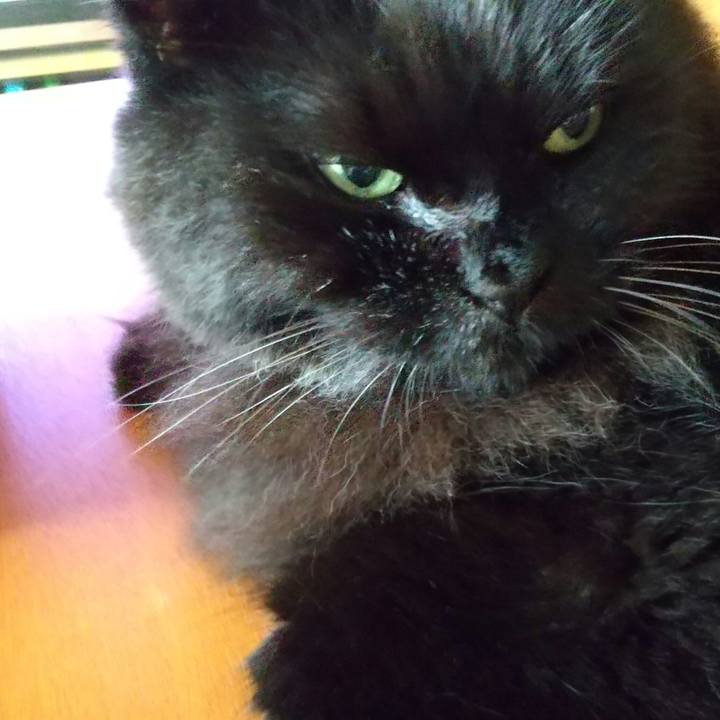 470152b5 1fff 4272 9808 a05186744ee8 1594508164871