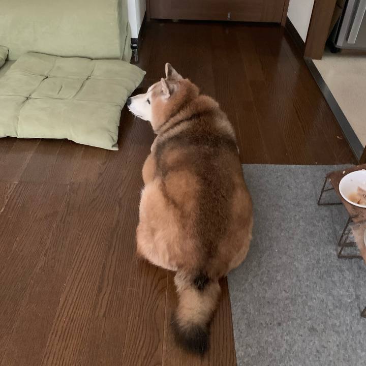 4701546e 8588 41dd a81c f29ec0e2e4e5 1660690013604