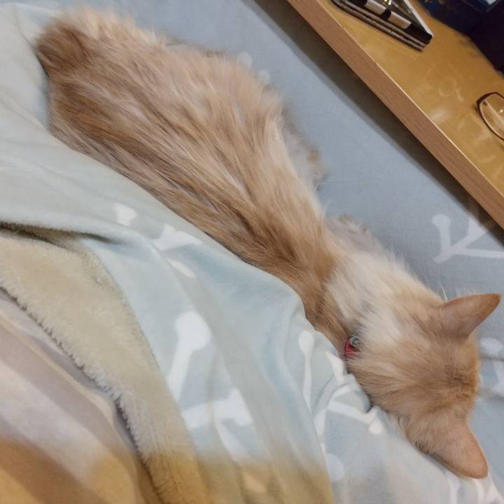 4701560f cb37 4da2 936d 271c54c7b0b9 1648021360905