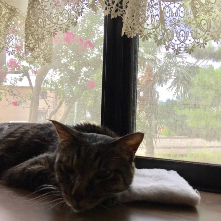 47017b9e a7cc 4e17 895a 5ec2ea32c8da 1533598839104