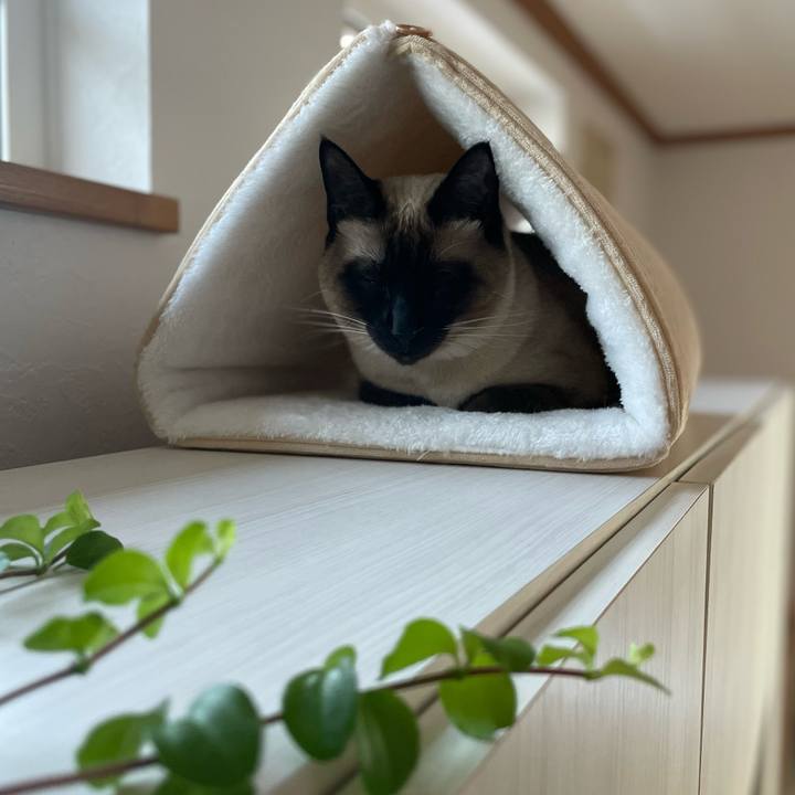 4701a24d 5cc3 4531 a560 feab4c4d4428 1737788875332