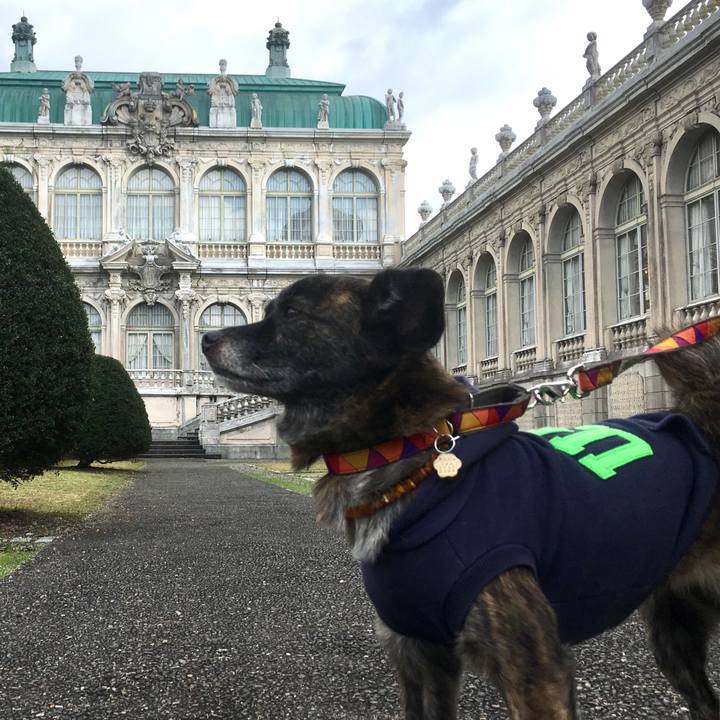 4701c50c ed5e 4444 9b56 7252943ef236 1542643466821