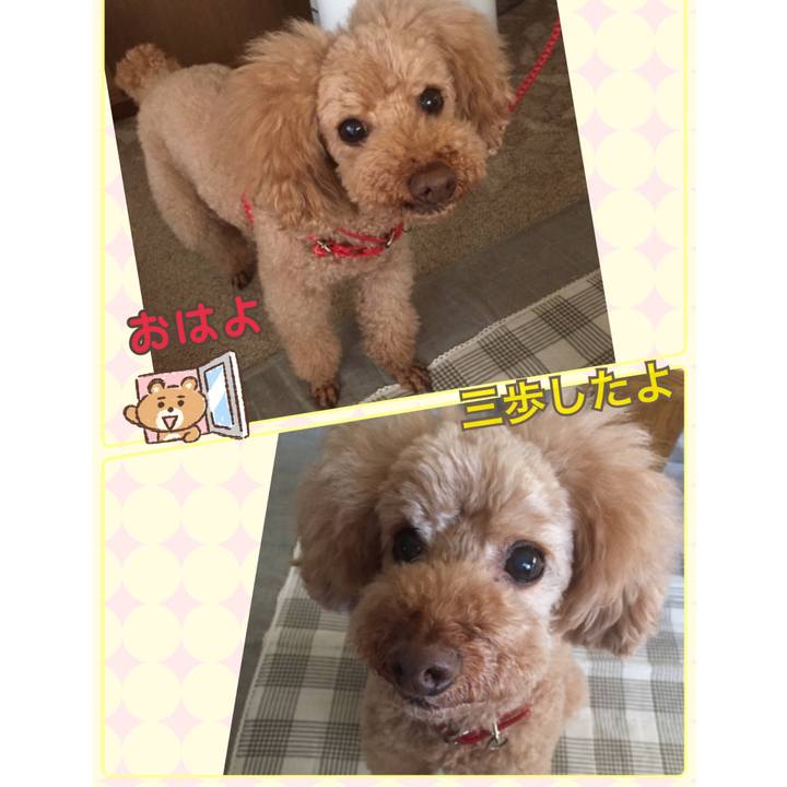 4701e89b 5b49 4931 99a4 e268ede6a783 1526077956285