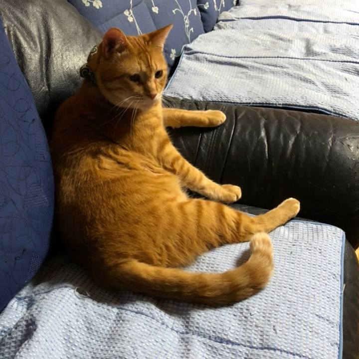 4702057b e02c 4367 8a55 1a64fb1d99b9 1558649159402