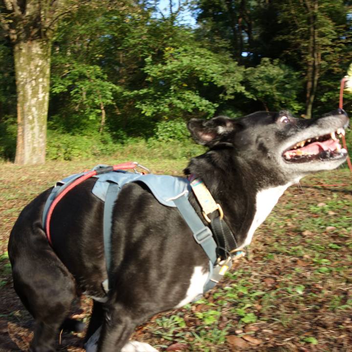 470205fc a7c4 4363 8035 2c00e12b0fe7 1730680132571