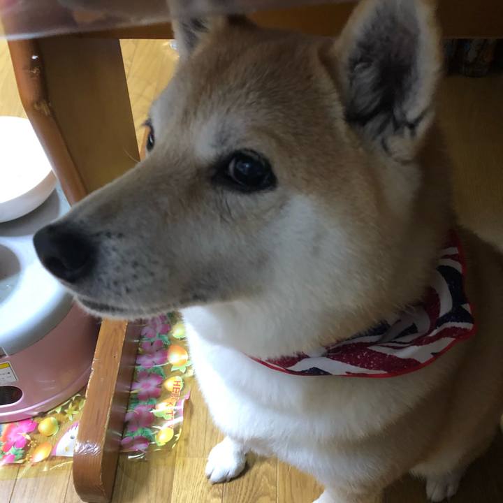 470227ad dcae 4aef 8b03 c041a3bbecc7 1549804220160