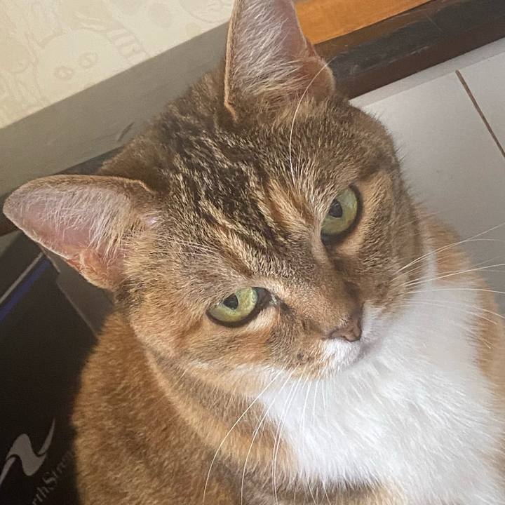 470239dd ac08 4df8 bacd 7b8c9974d084 1656119007646