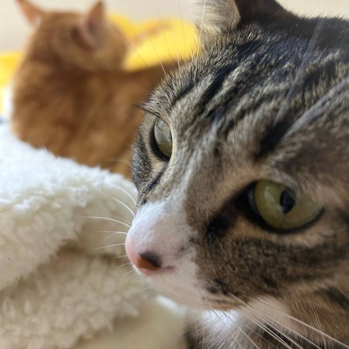 47023e07 cfbe 4c38 8323 f63e74cf56b8 1761389559368