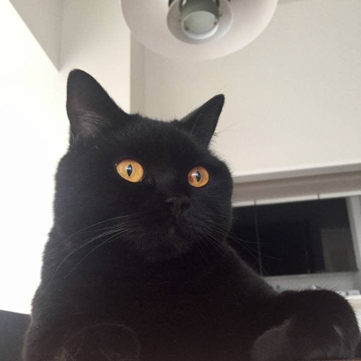 47024ba1 48b9 4ade ac4c 10afba841cbd 1563228733156