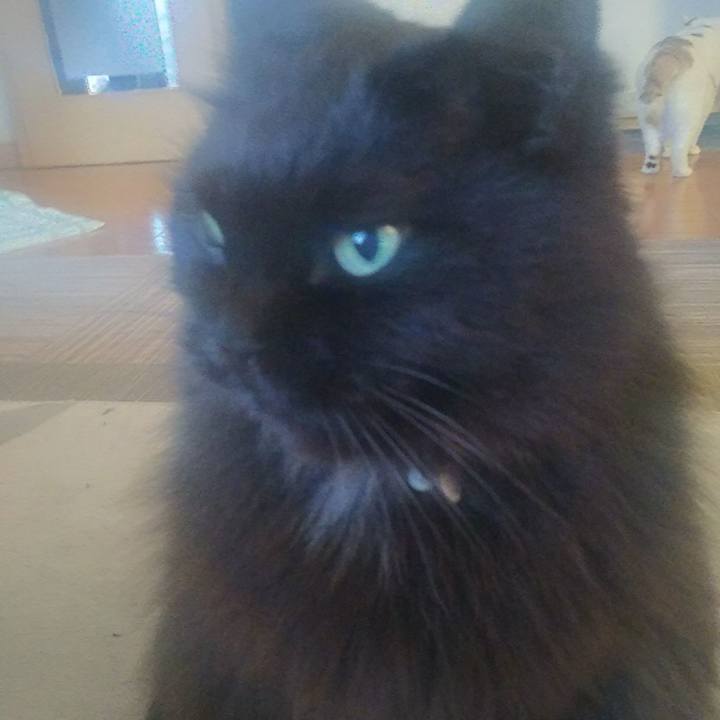 470254c9 5f61 410b 8fac 54b03c706f2e 1545605171302