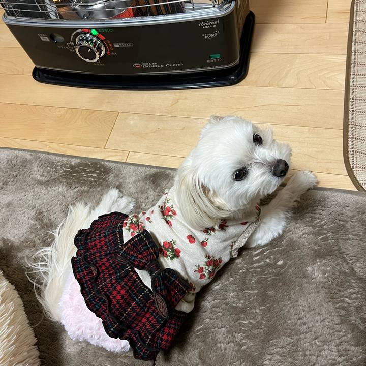 470260ec a7d9 476b bb45 46a6c7c958e9 1677754209164