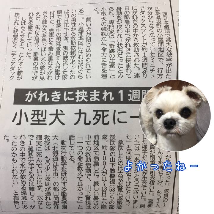 47029e36 806e 4277 8075 7c882f42a265 1532393377519