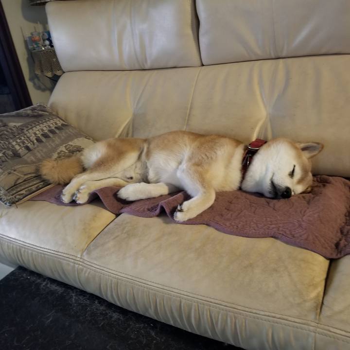 4702d0cb 3df6 4463 9d45 71f41a0f0eef 1760567409087