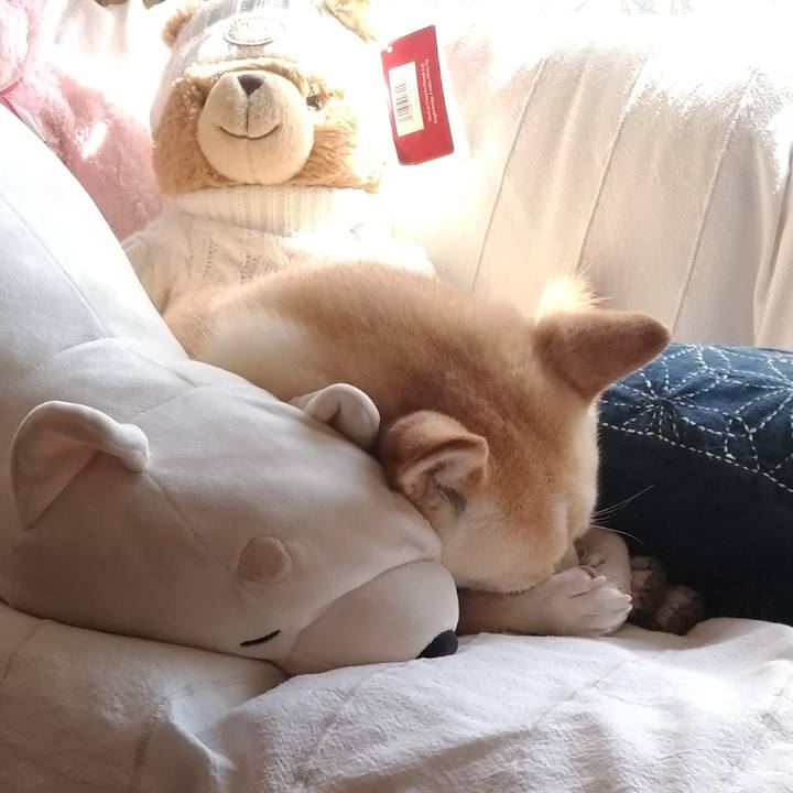 4702e23d 125b 4350 91cd c909785bb54b 1569898808045